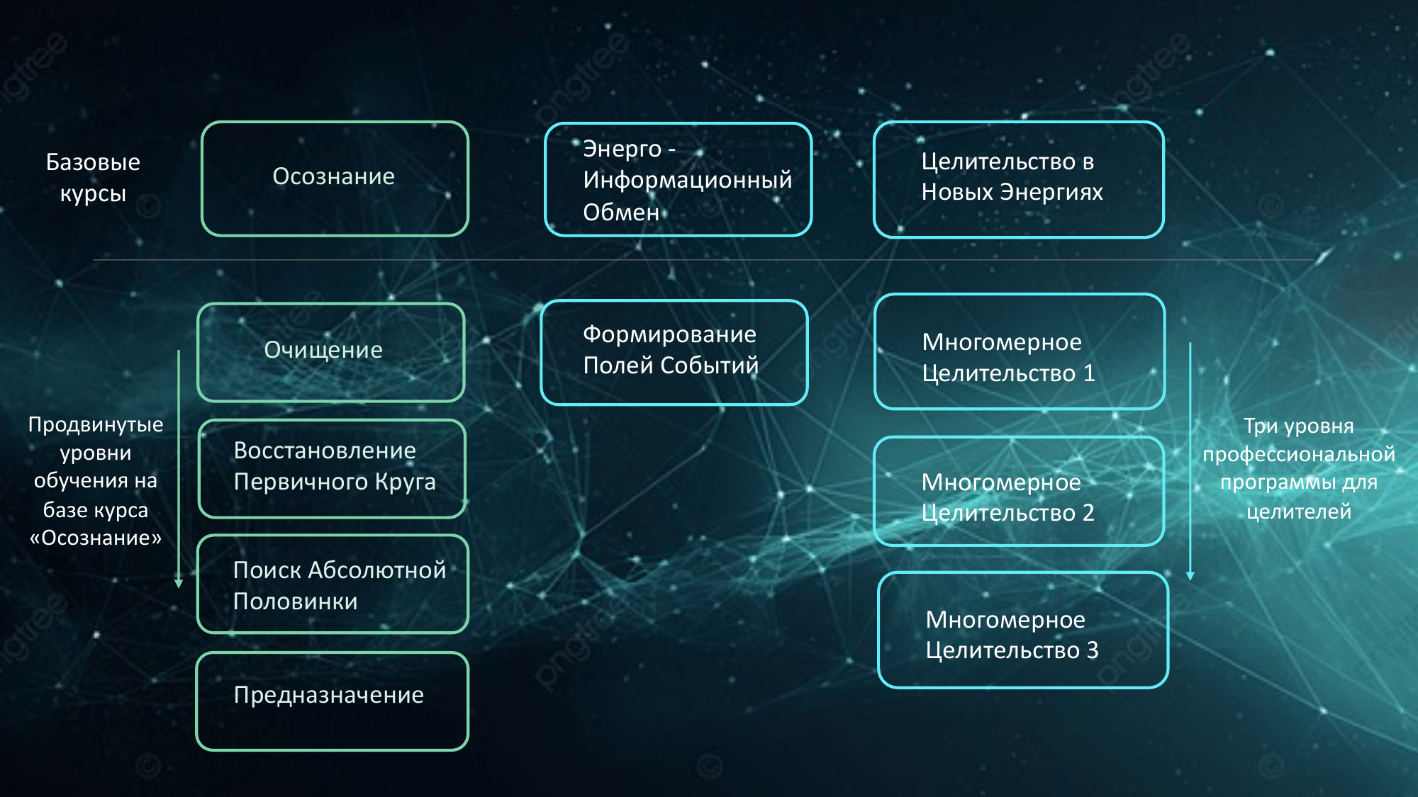 Структура обучающих курсов
