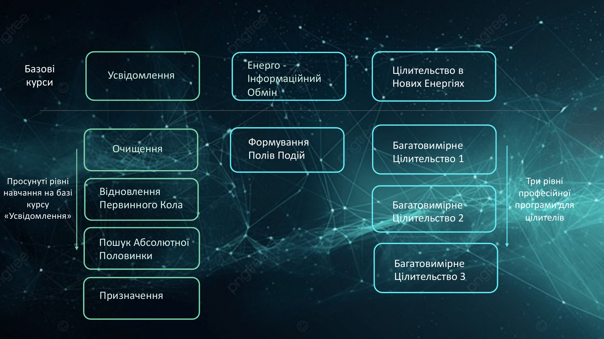Структура навчальних курсів